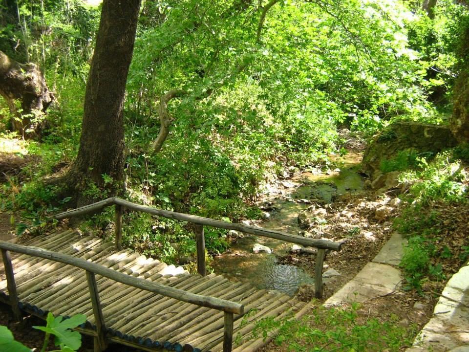 Dimitra Apartments Zakros City Esterno foto