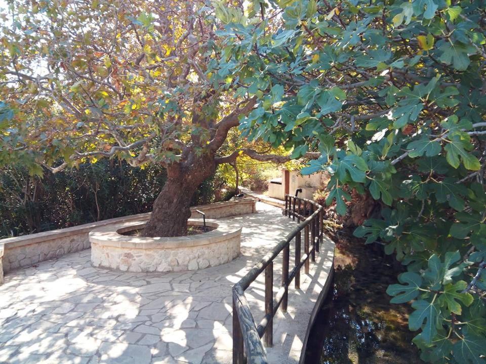 Dimitra Apartments Zakros City Esterno foto